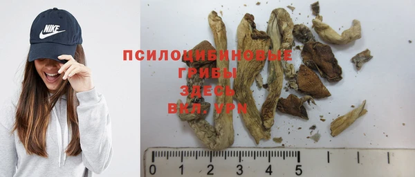 ECSTASY Балахна