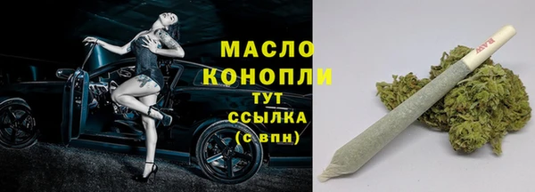 прущие грибы Баксан