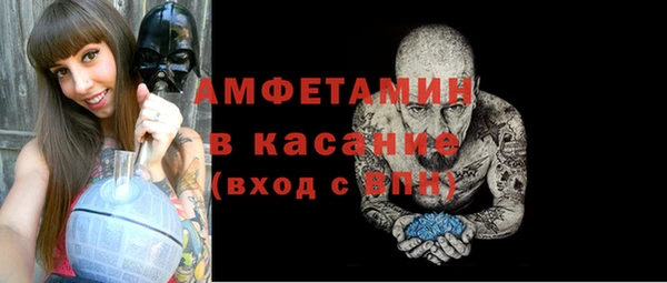 прущие грибы Баксан