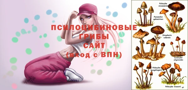 ECSTASY Балахна