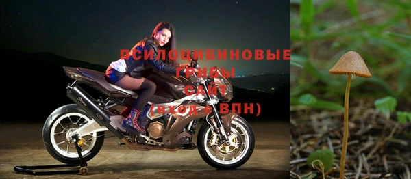 гидропоника Балабаново